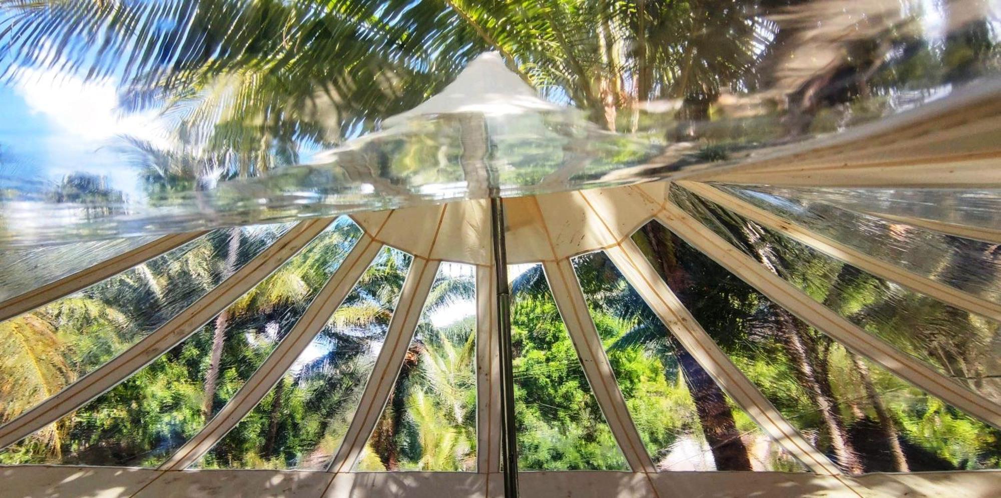 Firesky Glamping Ocam Ocam Beach New Busuanga Bagian luar foto